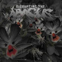 Disrupting The Abacus : Faces